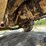 1992-mack-dm600gk-rear-discharge-concrete-mixer-truck-image-71