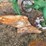 john-deere-pull-type-two-bottom-plow-image-14