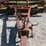 farmhand-wp42-image-5