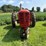 massey-harris-30-image-2