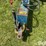 kinze-df-image-9