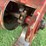 case-ih-1680-image-77