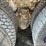 1992-mack-dm600gk-rear-discharge-concrete-mixer-truck-image-11