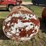 560-gallon-gas-barrel-8287-image-5
