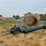 werkmeister-hay-feeder-image-2