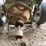 john-deere-6404tr-image-9