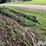 hagie-2100-image-5