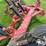 case-ih-14-image-13