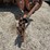 new-holland-268-image-13