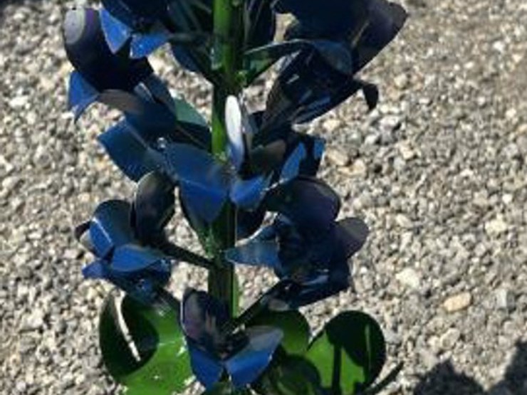 #136-•-metal-art---bluebonnet-image-1