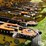 claas-830-image-17