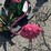 #145-•-metal-art---pink-flamingo-image-3