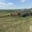 westfield-7x36-6391-image-1