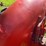 allis-chalmers-wc-image-12