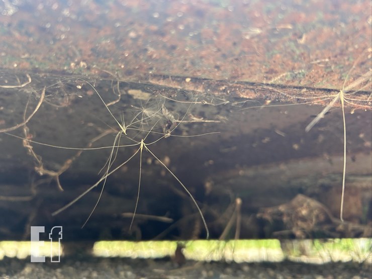 farm-king-y750r-image-12