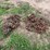 #9961-•-tractor-tire-chains-image-3