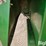 john-deere-643-image-12
