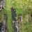 hagie-2100-image-13