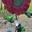 #154-•-metal-art---large-pink-flower-w/-mushrooms-&-image-1