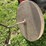 #9953-•-antique-grinding-wheel-image-4