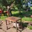 #9560-•-work-bench-with-hoist-image-1