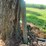 john-deere-200-image-5