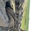 2002-komatsu-pc600-lc-6-image-43