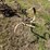 #9906-•-allis-chalmers-cultivator-image-5