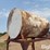 300-gal-fuel-barrel-on-stand-image-13