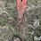 international-150-image-9