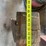 industrial-style-wooden-workshop-sawhorses-and-plywood-board-image-5