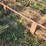 double-bale-feeder-#1-7473-image-7
