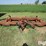 bush-hog-160-image-2