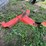 #9929-•-coupler-for-allis-chalmers-plow-image-3