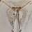 simonsen-smc1754s-image-10