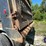 2008-international-5600-paystar-tri-axle-dump-truck-image-33