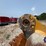 cat-72"-336-excavator-bucket-image-16