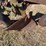 john-deere-pull-type-three-bottom-plow-image-23