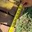 john-deere-5-image-11