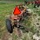 international-440-image-5