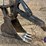 2012-caterpillar-329el-image-10