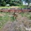 allis-chalmers-1300-image-2