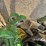john-deere-6175r-image-5