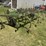 john-deere-100-image-2