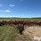 case-ih-4900-image-2