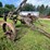 #9913-•-international-1-bottom-plow-image-6