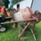 #9922-•-cement-mixer-image-1