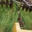 international-2500a-image-5