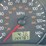 2007-ford-focus-image-18