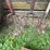 #9956-•-(6)-misc.-hand-tools-and-pulley-image-7